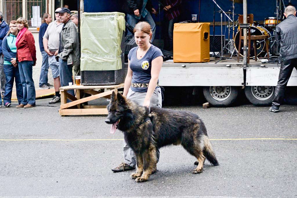 _dsc0443