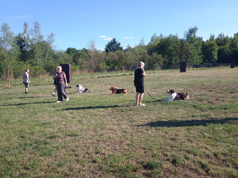 IMG_20250719_175044607