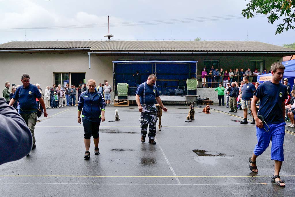 _dsc0200