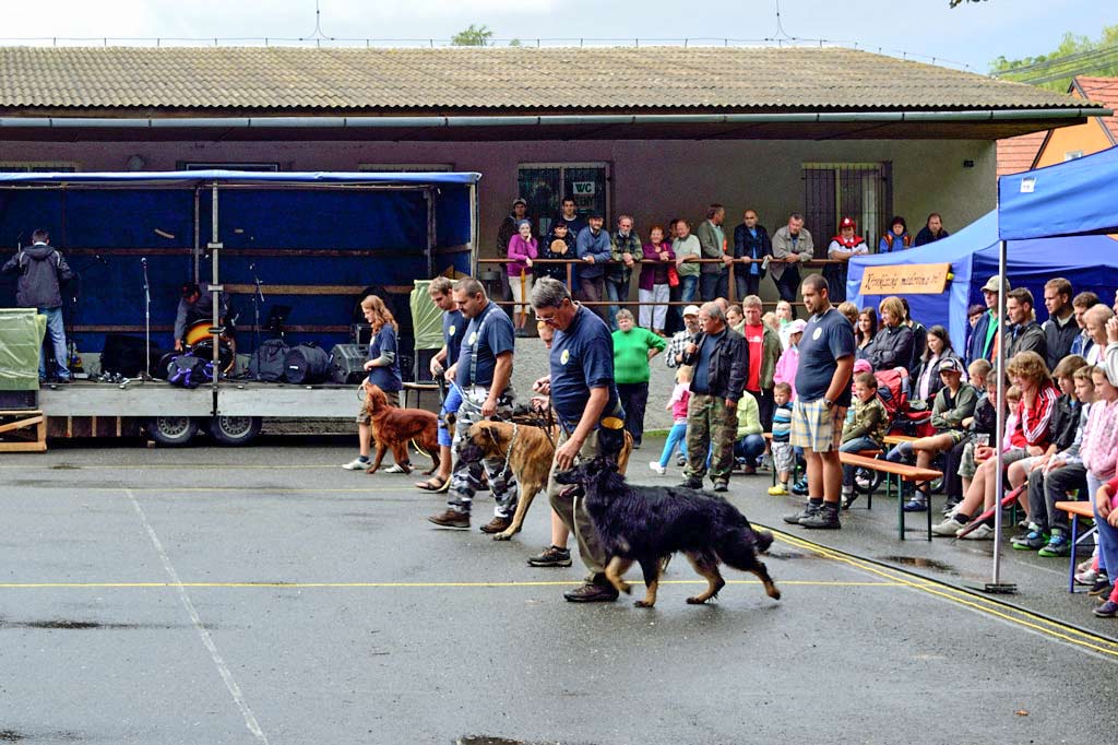 _dsc0201