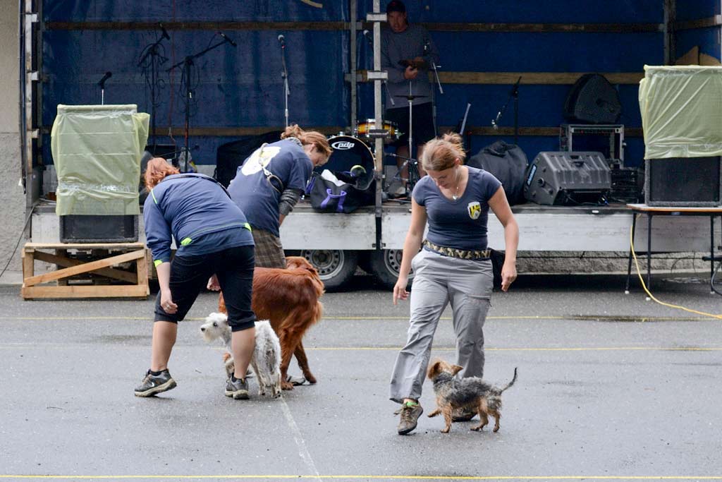 _dsc0215