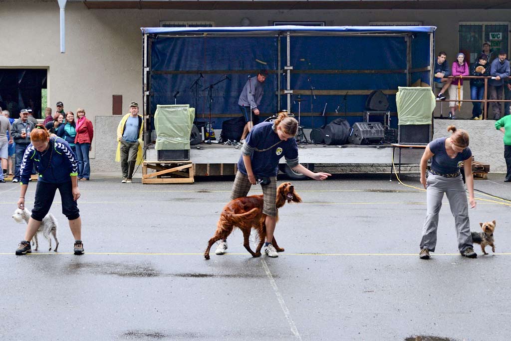 _dsc0219